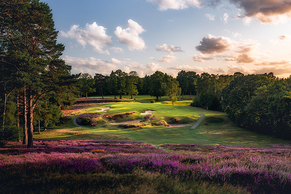 St George's Hill Golf Club