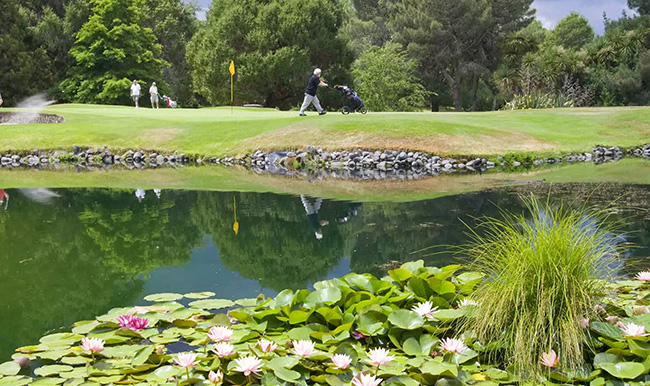 Wairakei Golf + Sanctuary